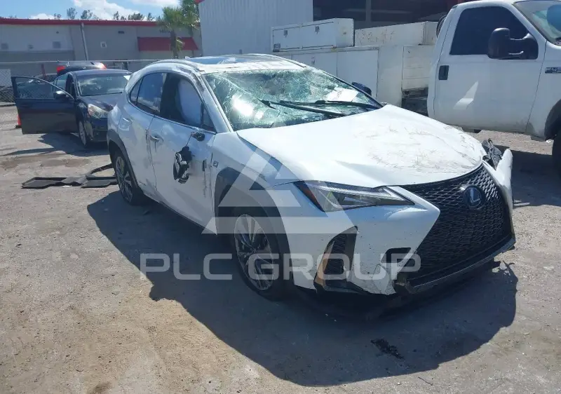 2021 Lexus UX250 фото