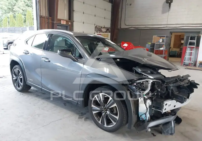 2021 Lexus UX250 photo