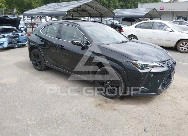 2021 Lexus UX250 photo