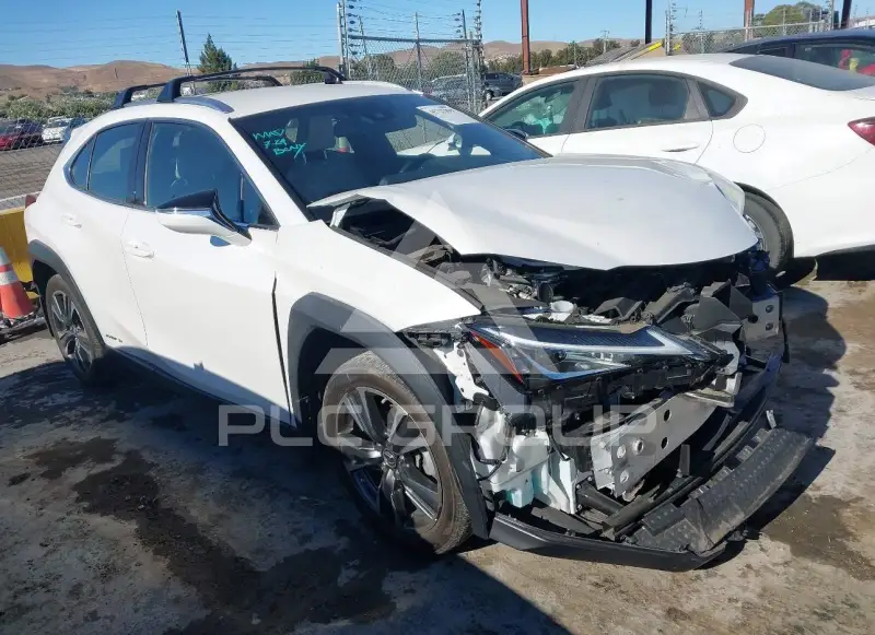 2021 Lexus UX250 фото
