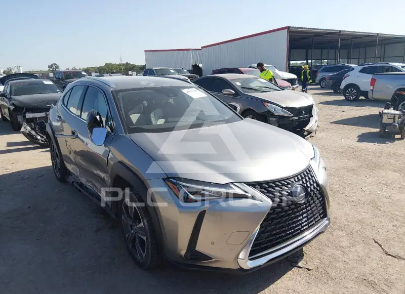 2021 Lexus UX250 photo