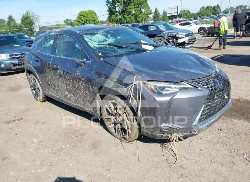 2021 Lexus UX250 photo