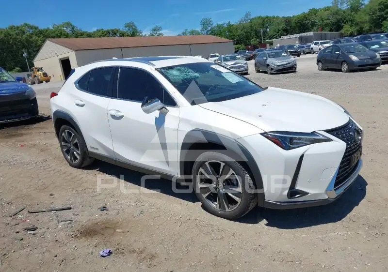 2021 Lexus UX250 фото