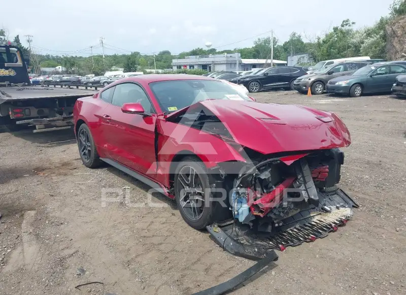 2021 Ford MUSTANG photo
