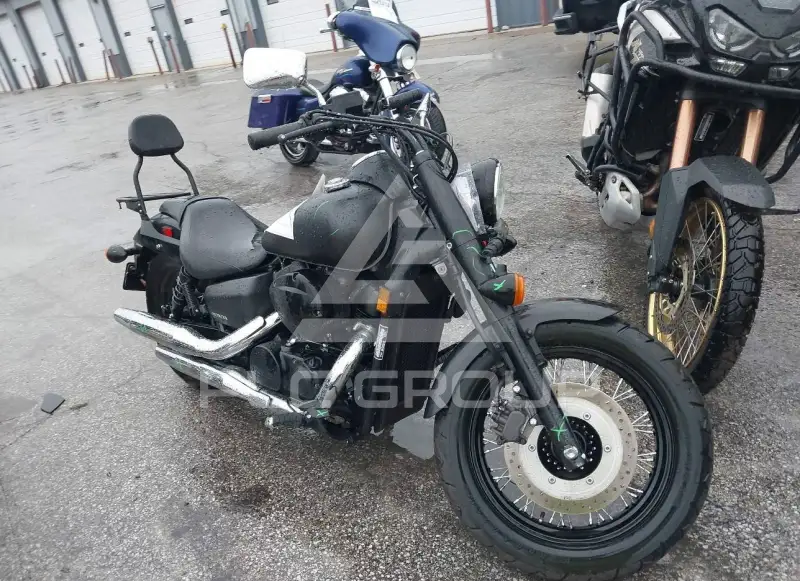 2022 Honda VT750 фото