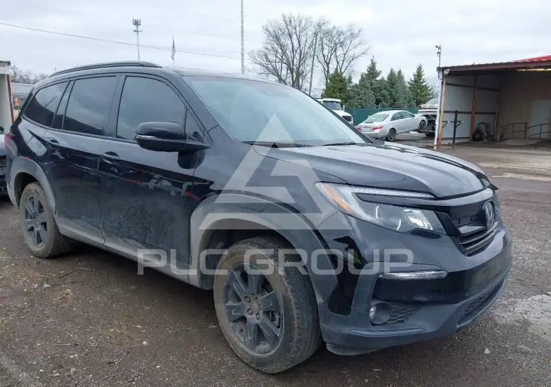 2022 Honda PILOT photo
