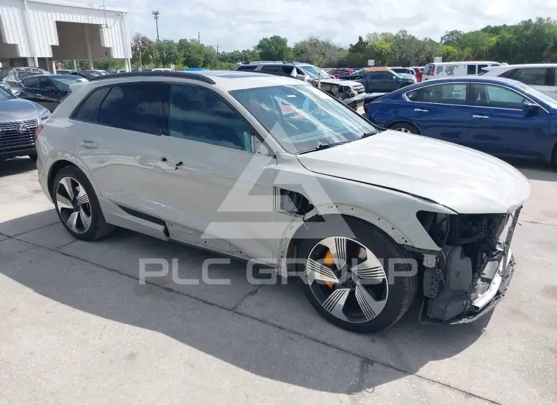 2022 Audi E-TRON фото