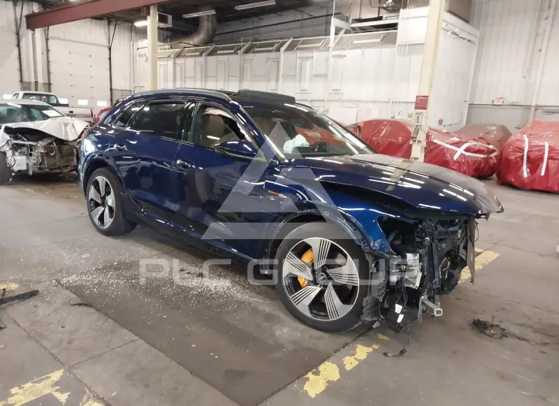 2022 Audi E-TRON фото