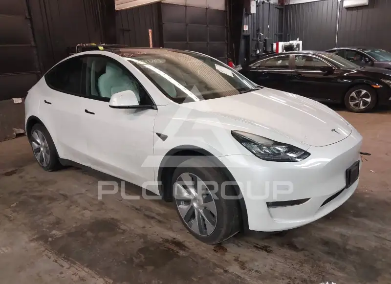 2022 Tesla Model Y photo