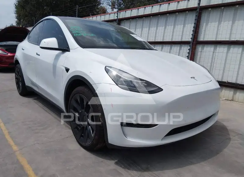 2022 Tesla Model Y фото