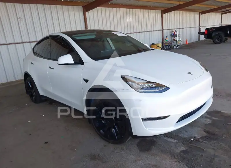 2022 Tesla Model Y фото