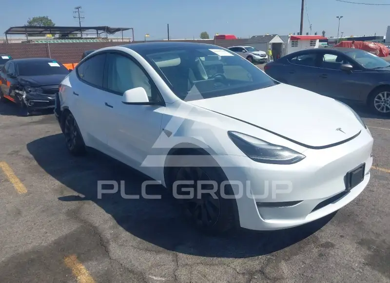 2022 Tesla Model Y photo