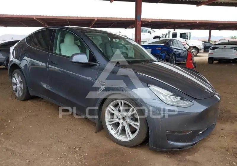 2022 Tesla Model Y фото