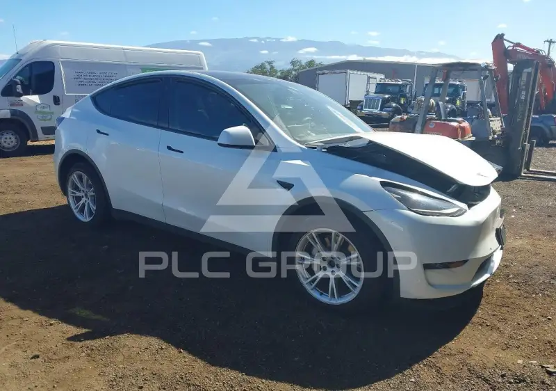2022 Tesla Model Y photo