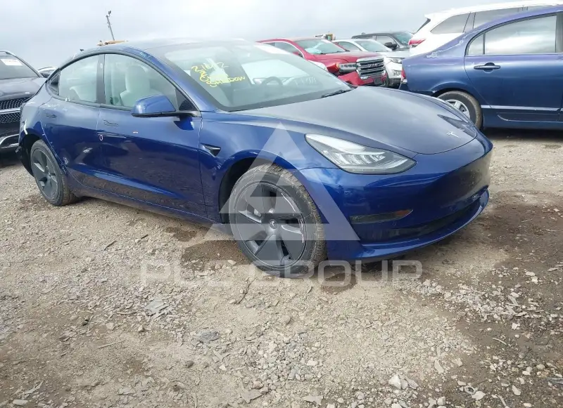 2022 Tesla Model 3 photo