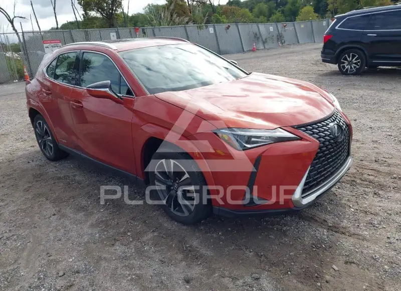 2022 Lexus UX250 фото