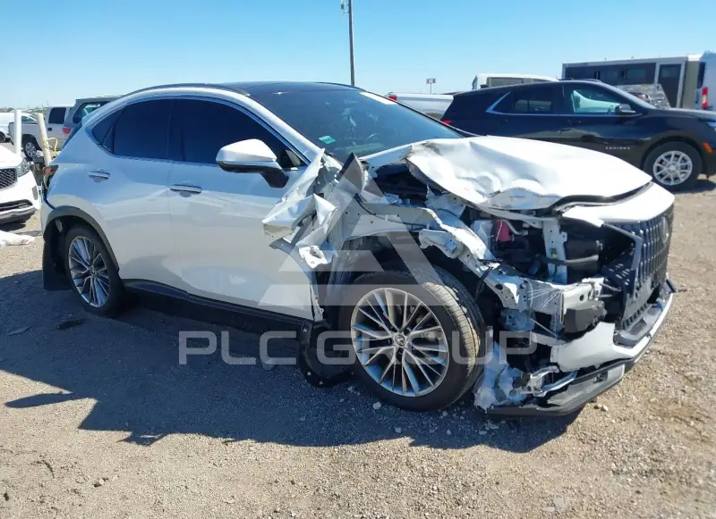 2022 Lexus NX250 фото