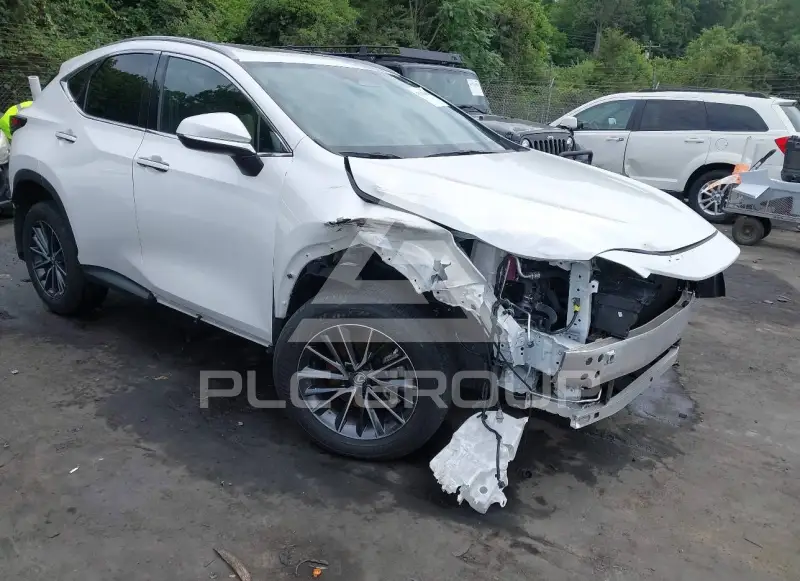 2022 Lexus NX250 photo