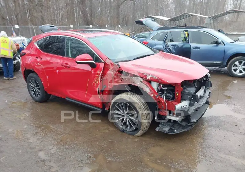 2022 Lexus NX250 фото
