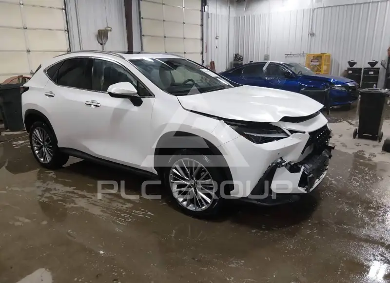 2022 Lexus NX250 фото