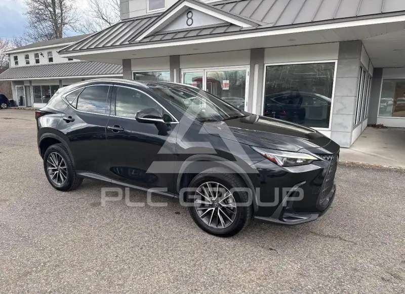 2022 Lexus NX250 фото