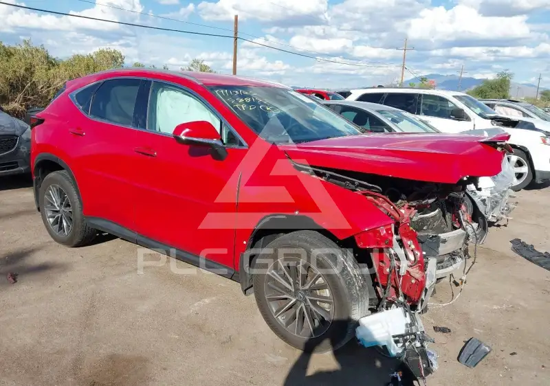 2022 Lexus NX250 фото