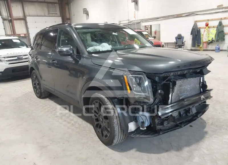 2022 KIA Telluride фото