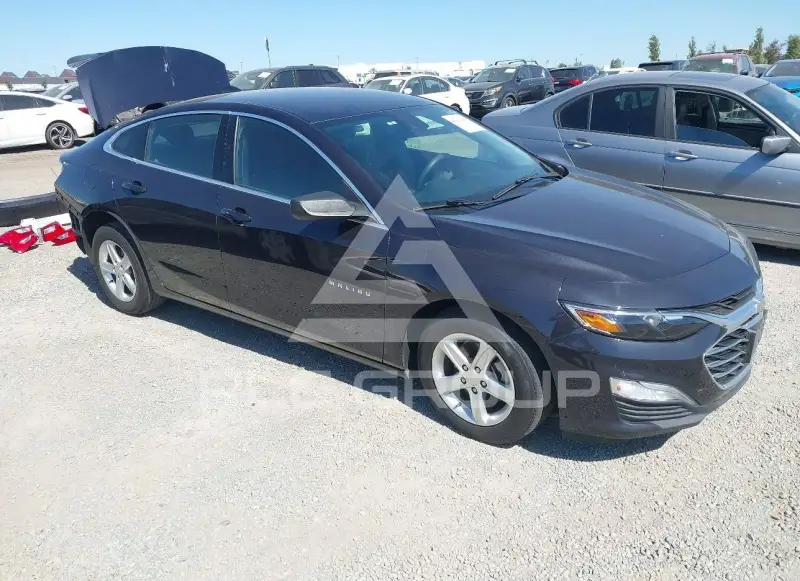 2023 Chevrolet Malibu photo