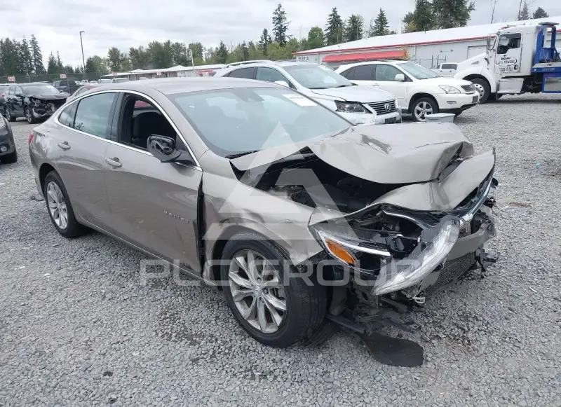 2023 Chevrolet Malibu photo