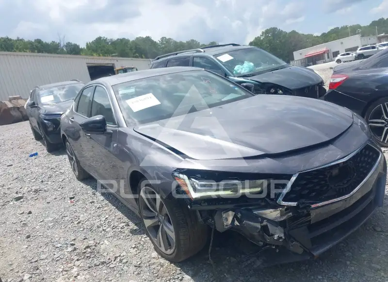 2023 Acura TLX photo