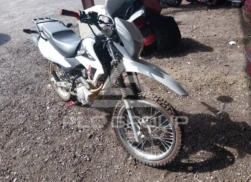 2023 Honda XR photo