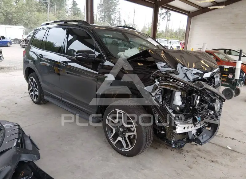 2023 Honda PASSPORT photo