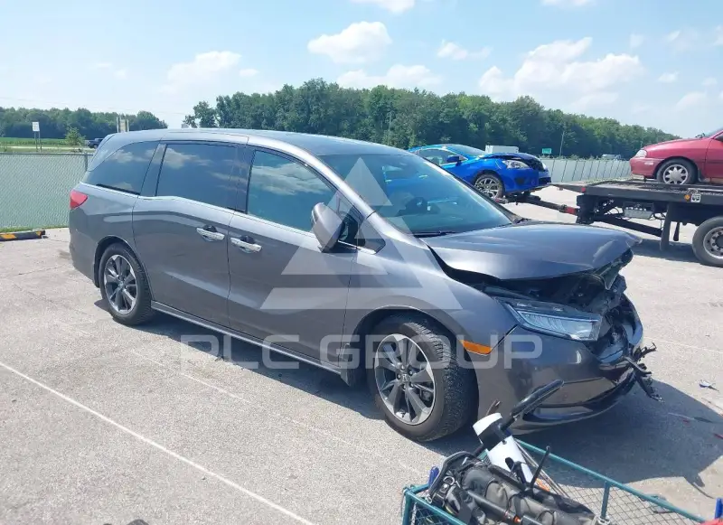 2023 Honda ODYSSEY фото