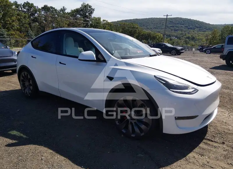 2023 Tesla Model Y фото