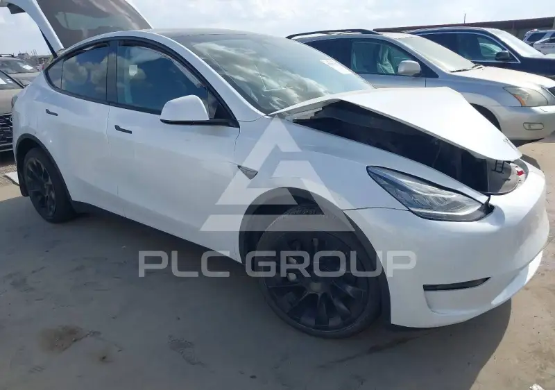 2023 Tesla Model Y фото