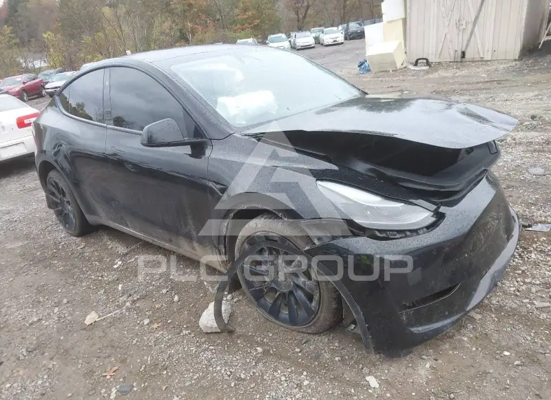 2023 Tesla Model Y фото