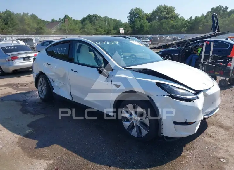 2023 Tesla Model Y photo