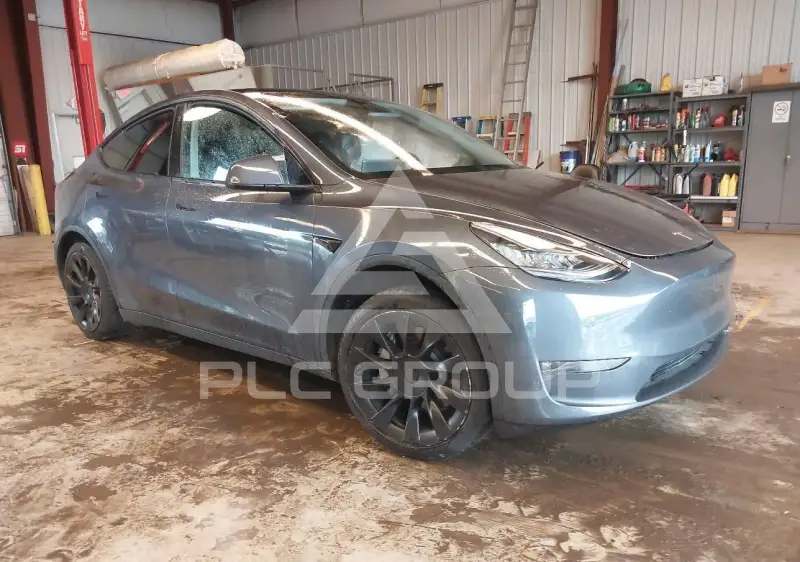 2023 Tesla Model Y фото