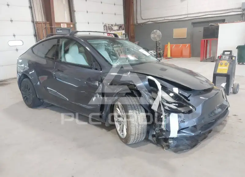 2023 Tesla Model Y фото