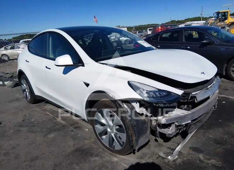 2023 Tesla Model Y photo