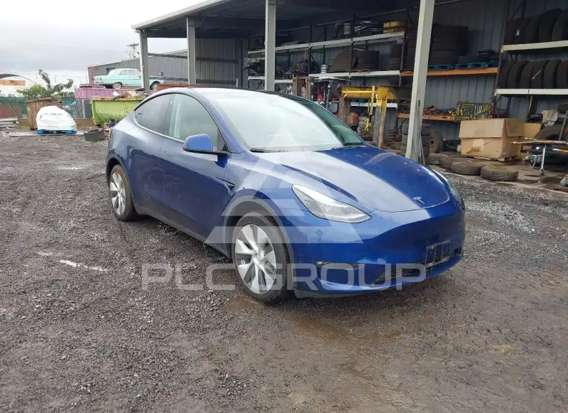 2023 Tesla Model Y фото