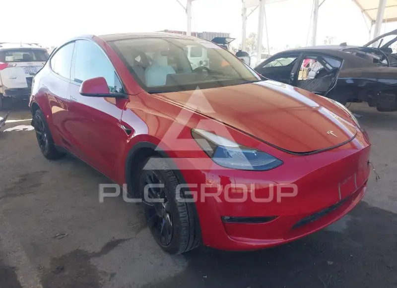 2023 Tesla Model Y фото