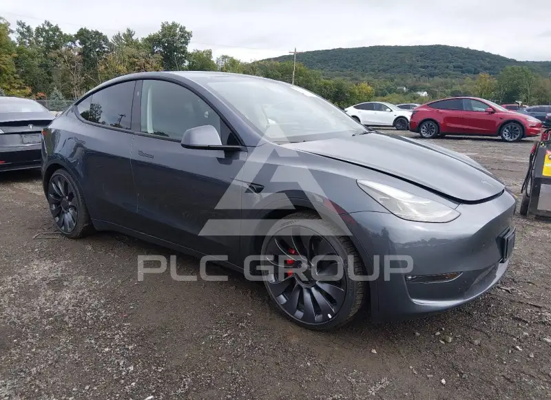 2023 Tesla Model Y фото