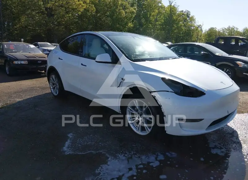 2023 Tesla Model Y фото