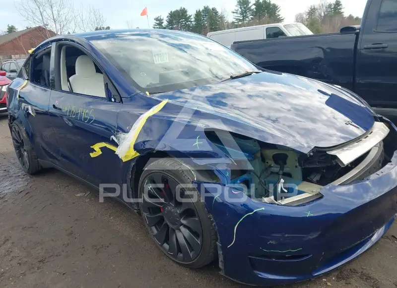 2023 Tesla Model Y фото