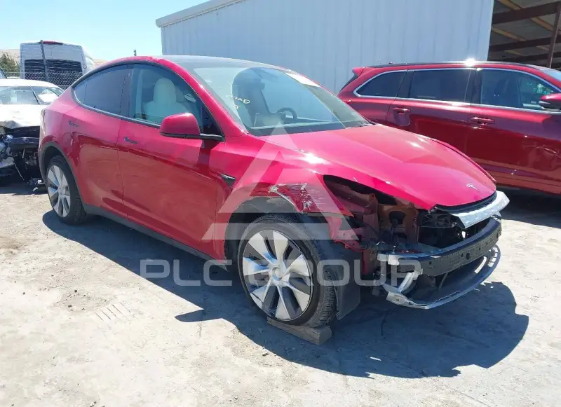 2023 Tesla Model Y фото