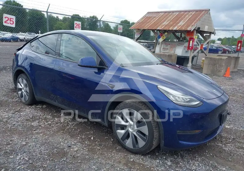 2023 Tesla Model Y photo