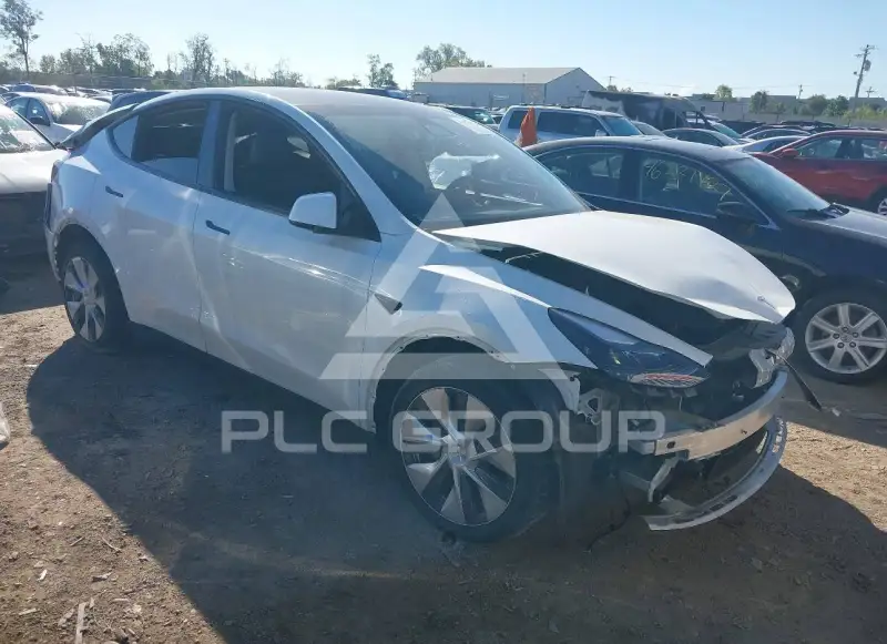 2023 Tesla Model Y photo