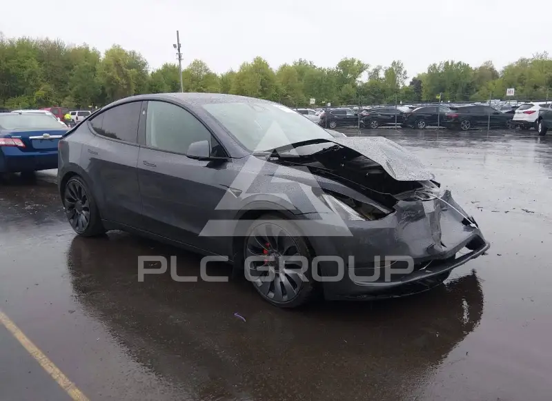 2023 Tesla Model Y photo