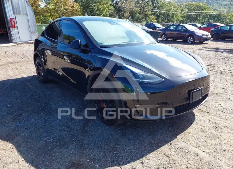 2023 Tesla Model Y photo